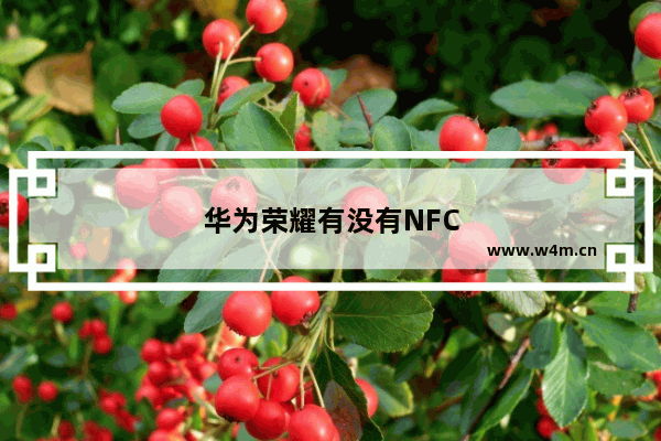 华为荣耀有没有NFC