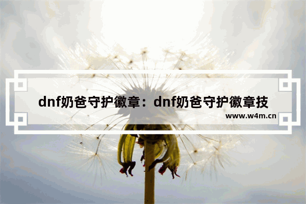 dnf奶爸守护徽章：dnf奶爸守护徽章技能是哪个