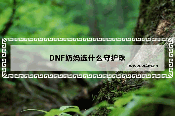 DNF奶妈选什么守护珠