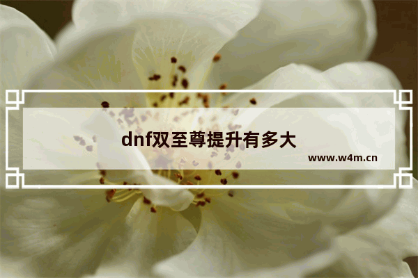 dnf双至尊提升有多大