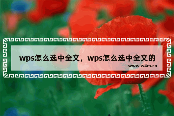 wps怎么选中全文，wps怎么选中全文的数字