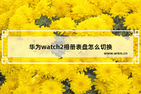 华为watch2相册表盘怎么切换