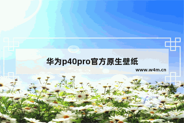 华为p40pro官方原生壁纸