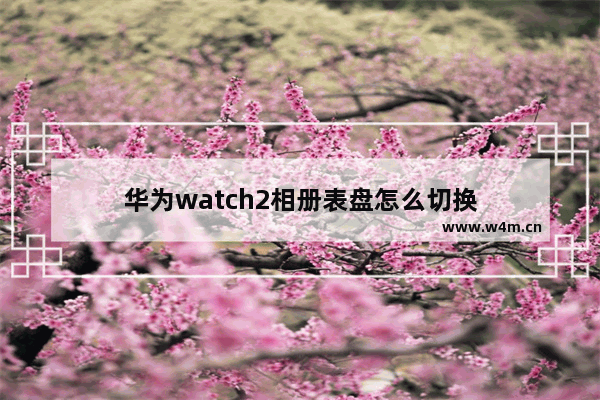 华为watch2相册表盘怎么切换