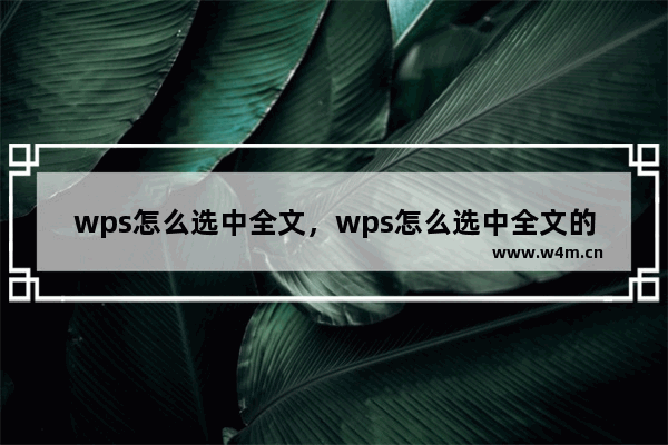 wps怎么选中全文，wps怎么选中全文的数字