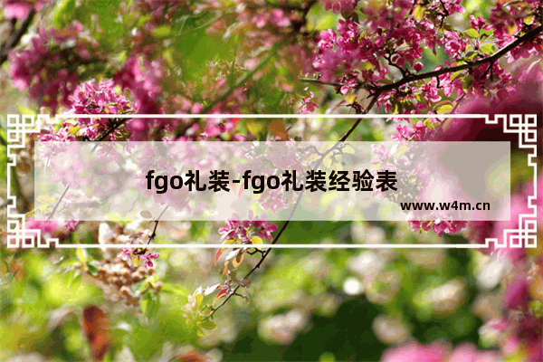 fgo礼装-fgo礼装经验表