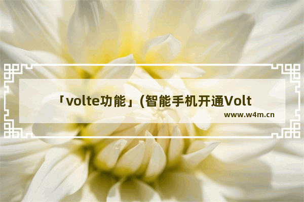 「volte功能」(智能手机开通Volte功能)