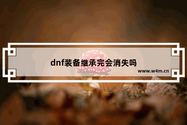 dnf装备继承完会消失吗