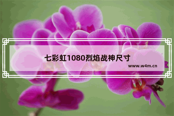 七彩虹1080烈焰战神尺寸