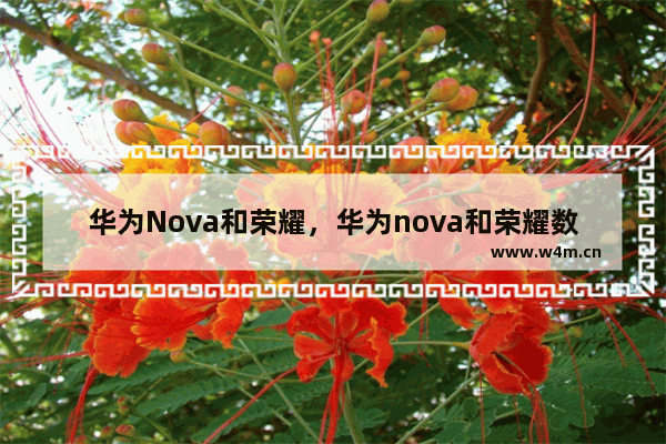 华为Nova和荣耀，华为nova和荣耀数字系列哪个好