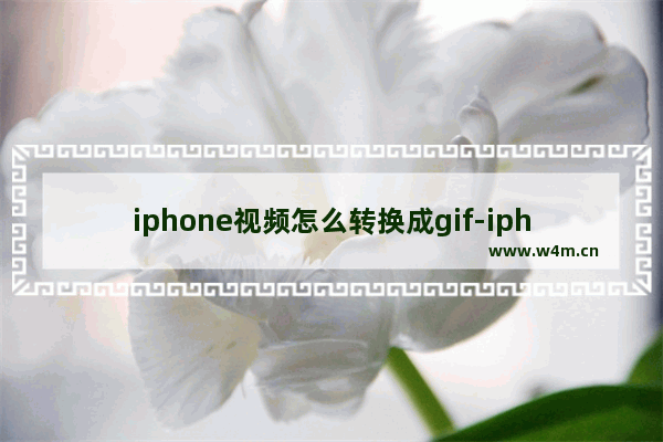 iphone视频怎么转换成gif-iphone视频怎么转换成gif图