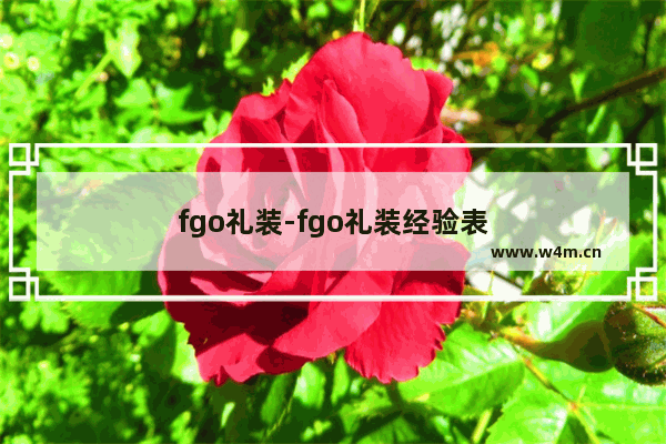 fgo礼装-fgo礼装经验表