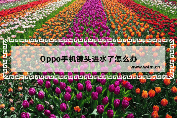 Oppo手机镜头进水了怎么办