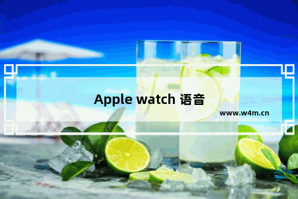 Apple watch 语音