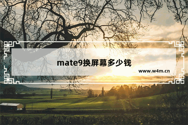 mate9换屏幕多少钱