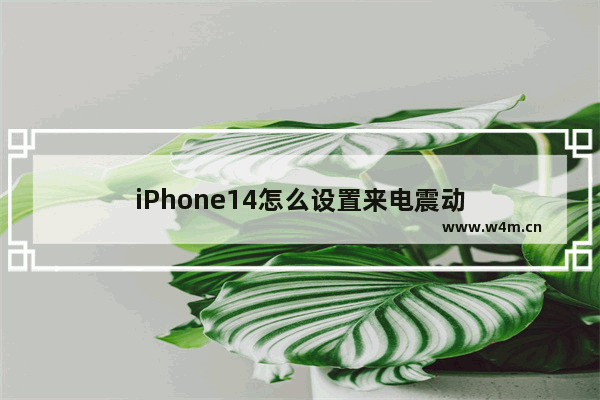 iPhone14怎么设置来电震动