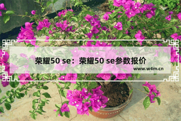 荣耀50 se：荣耀50 se参数报价