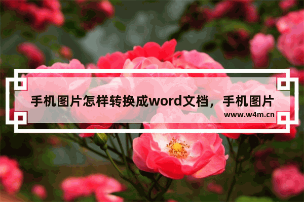 手机图片怎样转换成word文档，手机图片怎样转换成word文档不是转文字