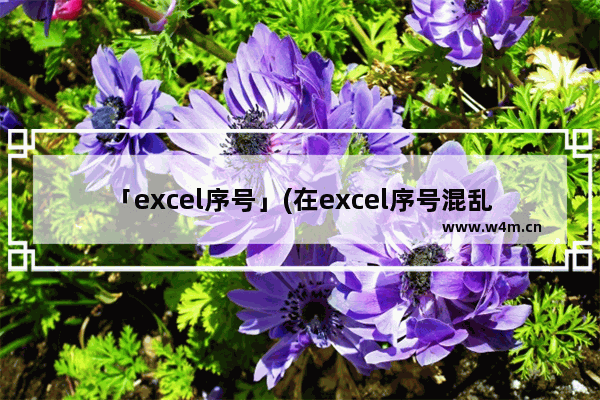 「excel序号」(在excel序号混乱重新排序)