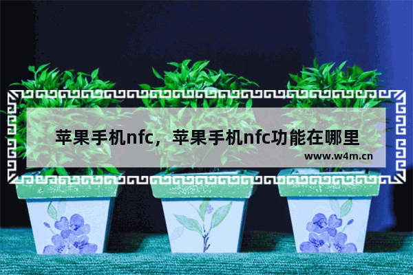 苹果手机nfc，苹果手机nfc功能在哪里找