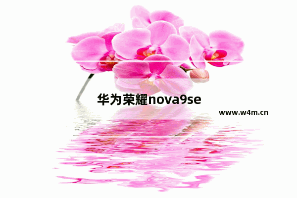 华为荣耀nova9se