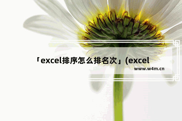 「excel排序怎么排名次」(excel排序怎么排名次由小到大函数)