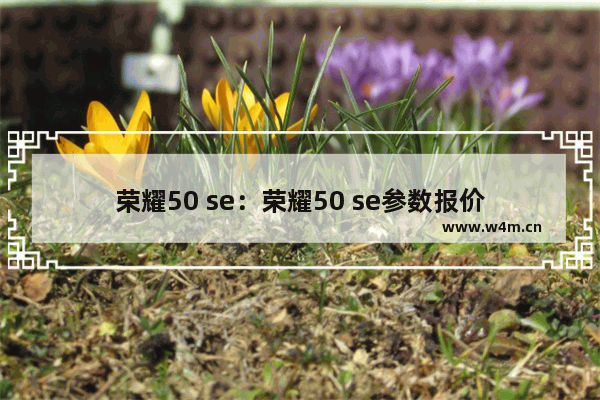 荣耀50 se：荣耀50 se参数报价