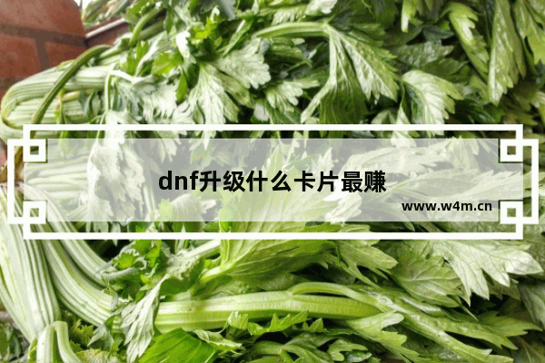 dnf升级什么卡片最赚