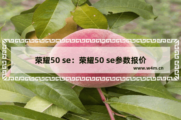 荣耀50 se：荣耀50 se参数报价