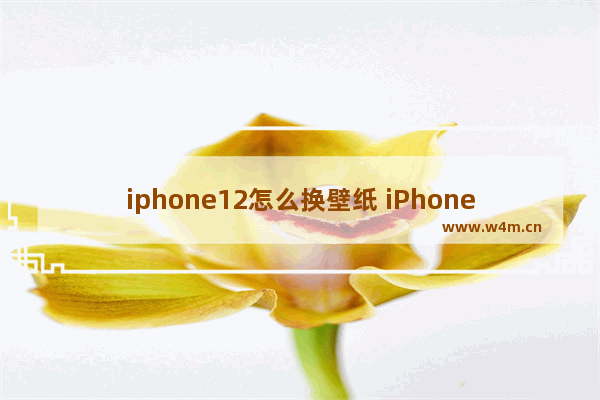 iphone12怎么换壁纸 iPhone12怎么换壁纸和锁屏