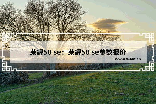 荣耀50 se：荣耀50 se参数报价