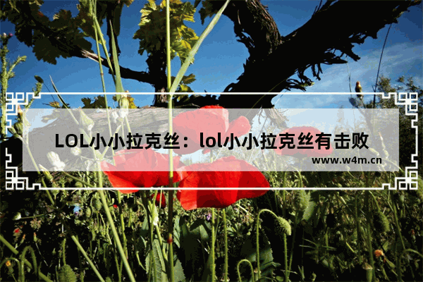 LOL小小拉克丝：lol小小拉克丝有击败特效吗