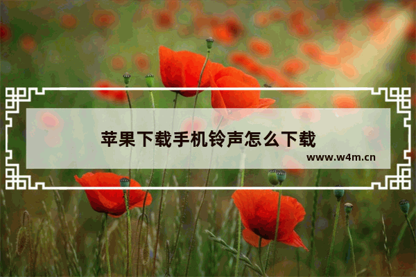 苹果下载手机铃声怎么下载