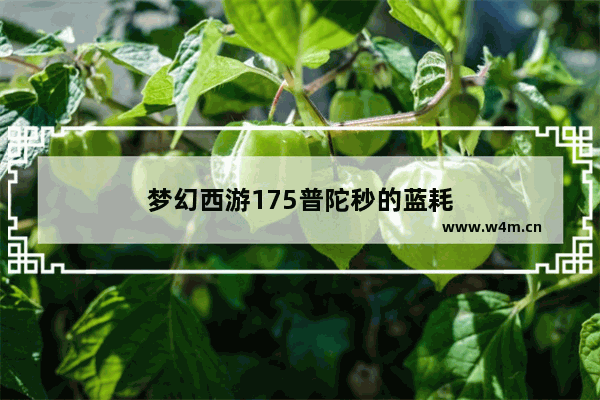 梦幻西游175普陀秒的蓝耗