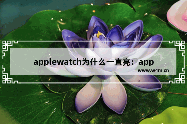 applewatch为什么一直亮：applewatch为什么一直亮绿灯