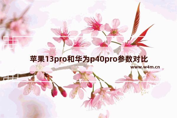 苹果13pro和华为p40pro参数对比