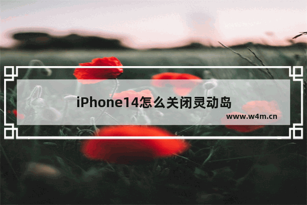 iPhone14怎么关闭灵动岛