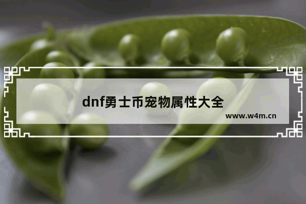 dnf勇士币宠物属性大全