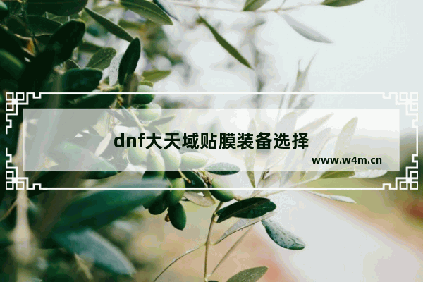 dnf大天域贴膜装备选择