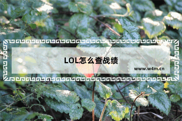 LOL怎么查战绩