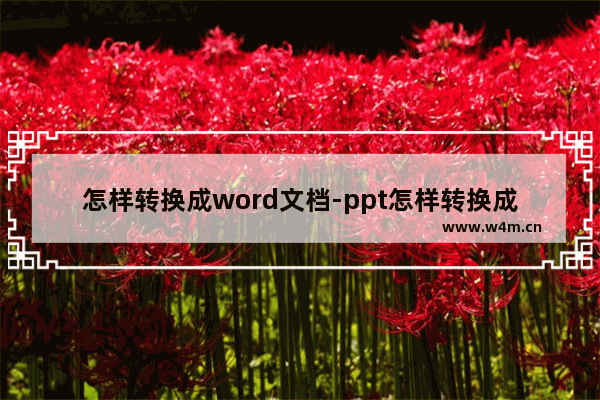 怎样转换成word文档-ppt怎样转换成word文档免费