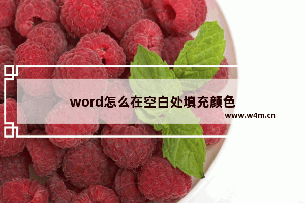 word怎么在空白处填充颜色