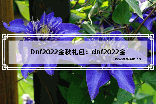 Dnf2022金秋礼包：dnf2022金秋礼包装扮外观