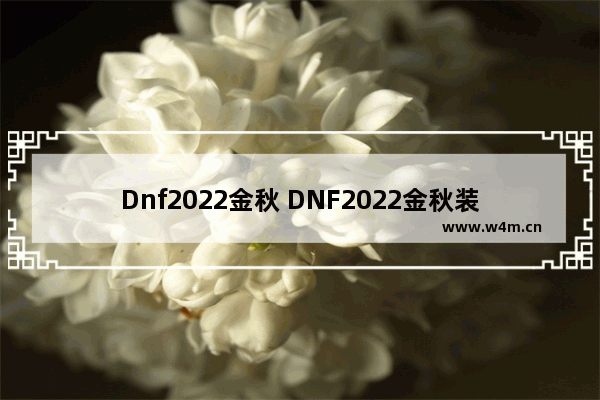 Dnf2022金秋 DNF2022金秋装扮套装外观