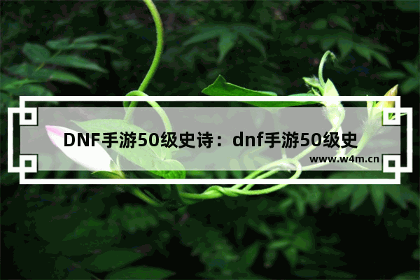 DNF手游50级史诗：dnf手游50级史诗防具套装 阿修罗