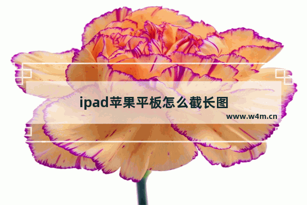 ipad苹果平板怎么截长图