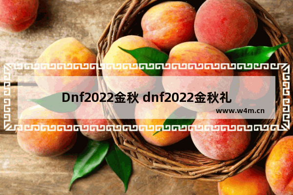 Dnf2022金秋 dnf2022金秋礼包买几套合适