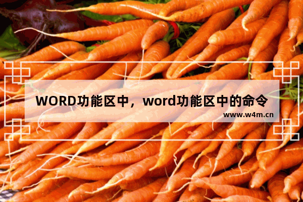 WORD功能区中，word功能区中的命令图标可以变化吗