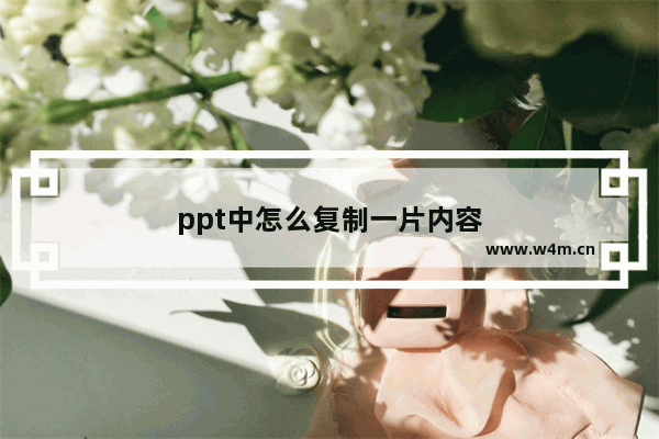 ppt中怎么复制一片内容