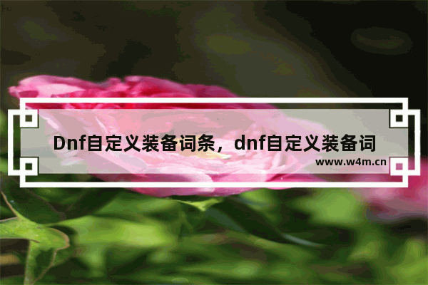 Dnf自定义装备词条，dnf自定义装备词条转移消失吗